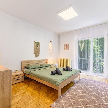 C Alex Apartamento Braşov Exterior foto