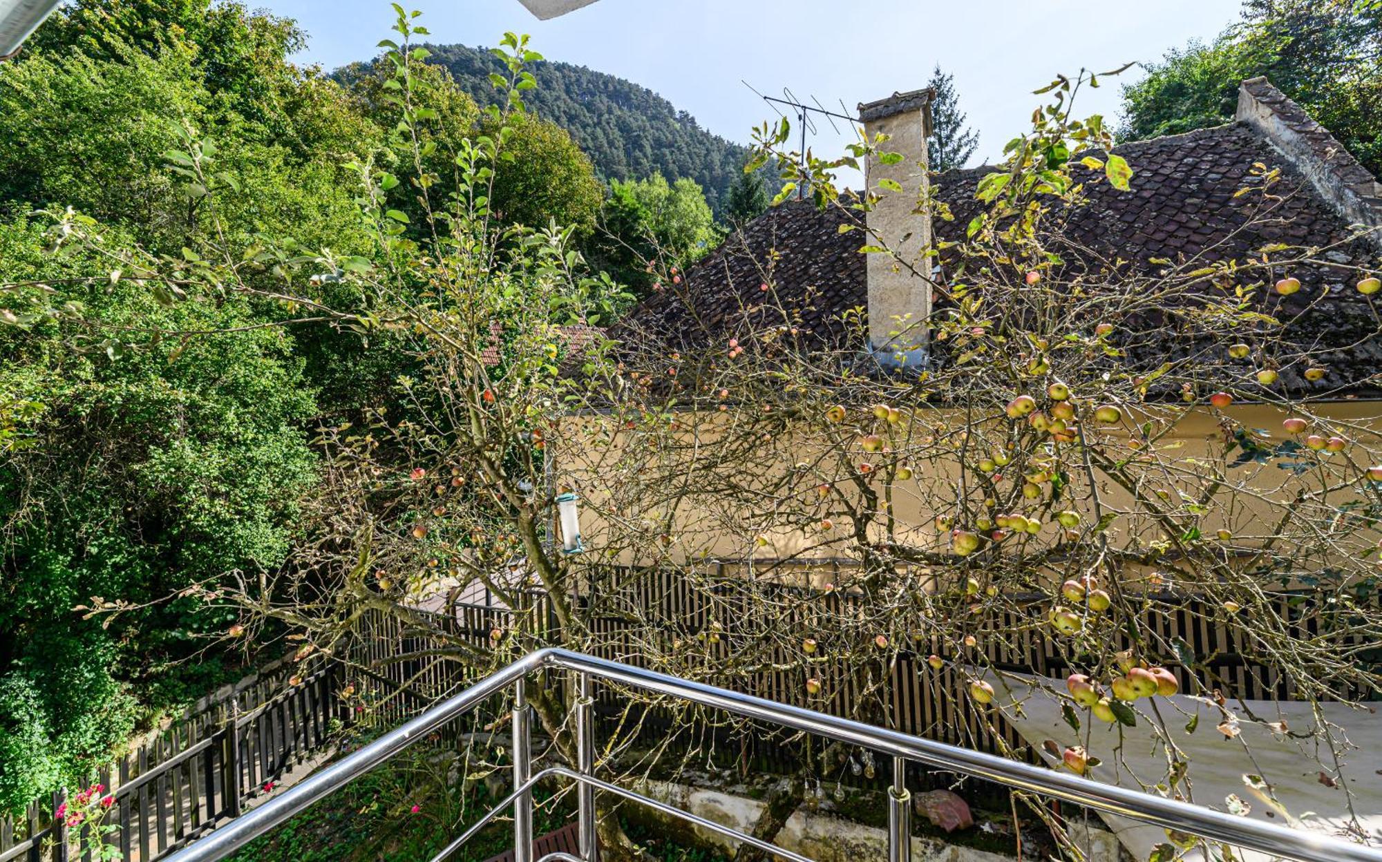 C Alex Apartamento Braşov Exterior foto